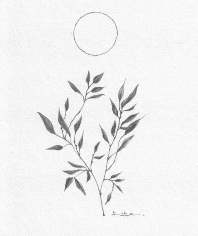 "Pilnaties augimas"